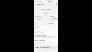Repair New Imei Samsung S10 plus G975W, SM-G975W ; S10 plus G975W blacklisted imei