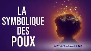 Les Poux et leur signification spirituelle cach&eacute;e