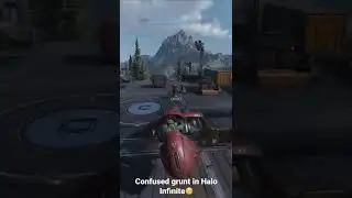 Confused grunt in Halo Infinite