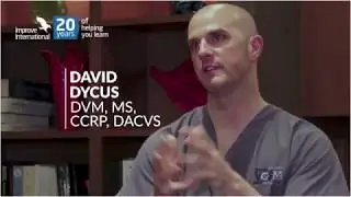 David talks about the programmes