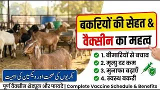 Bakriyon ki Sehat Vaccine ka Mahatva