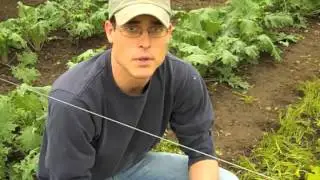 Meet Matt from the Capuchin Soup Kitchen's Earthworks Urban Farm