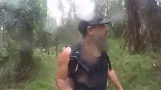 Oz Walks - 1 FOOT IN FRONT OF THE OTHER