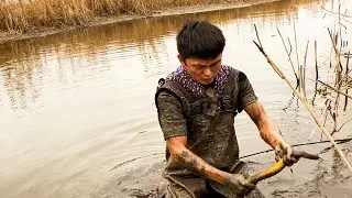 300塊包下粉絲家的魚塘，直接去中間抓快速回本#大熱門 #fishing