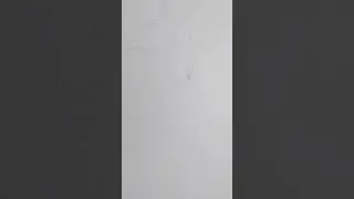 wall painting |one line art |pencil art  #shortsvideo #drawing #wallpainting #status