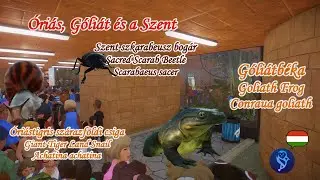 Part 63 - Goliath Frog & Giant Tiger Land Snail - Sacred Scarab Beetle - Planet Zoo-HunZoo Zanzibar