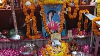 श्री हरिराम बाबा मंदिर झोरड़ा धाम।। जन्मदिवस आरती दर्शन।।