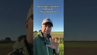 Пробежка или прогулка? #фитнес #спорт #зож #похудение