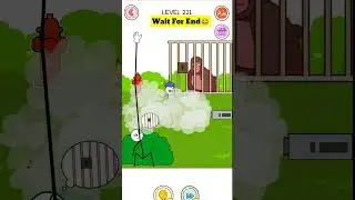 Thief puzzle level 221