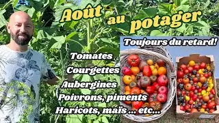 Août au potager.(ça récolte...?)#jardin