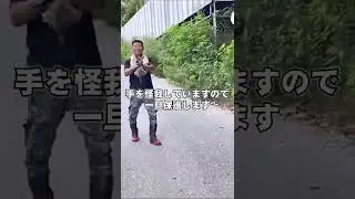 【知ってる？】赤ちゃんイノシシの鳴き声にびっくり‼️　#shorts #ウリ坊 #捕獲
