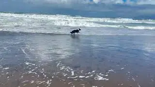 Halfway to a Moment of Zen