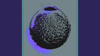 Salt