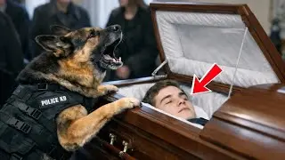 Police Dog Kept Barking at Young Man in the Coffin &mdash; Then He Found The  Shocking Truth