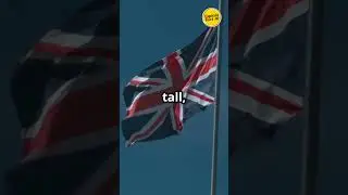 Winston Churchill  The Lion of Britain
