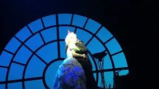WICKED 2016 - Tudo Mudou/For Good ( J&uacute;lia Duarte e Roberta Jafet)