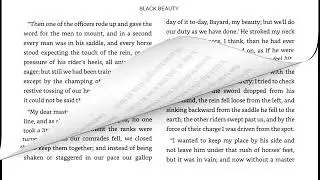 Black Beauty Chapter 34 An Old War Horse