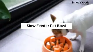 InnovaGoods Slow Feeder Pet Bowl