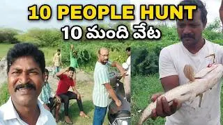 Korramenu fish hunting Back to Back Snakehead fish hunting Amazing Fishing Catching best village ...