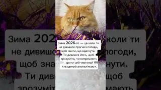 Зима #гуморукраїна #житивукраїні #війнавукраїні #життяукраїнців #електроенергія #cat