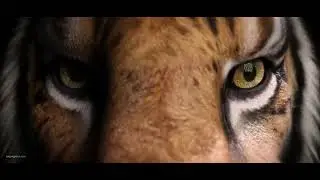 Eye of the Tiger IRAY Animation Experiment
