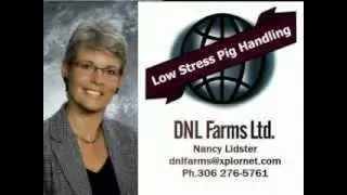 Low Stress Pig Handling in a Nutshell - revised