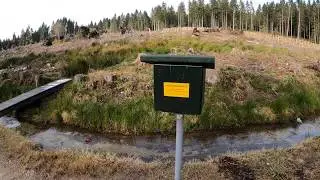 Stempelstelle 126 Lochstein, Oberer Schalker Graben - Harzer Wandernadel