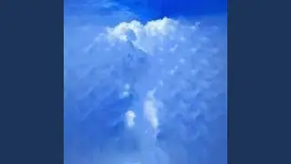 EMBRYO I (WINGS OF AN ANGEL)