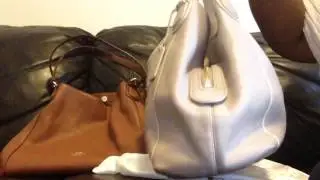 I Took The Risk  On A Coach Bag: Coach Edie!