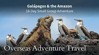 Galápagos & the Amazon | Overseas Adventure Travel