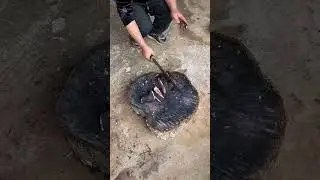 Epic Folding Knife Mastery Revealed!#camping#bushcraft#bladeskills#knives#tranding#shortsviral