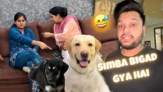 Simba Ko Pad Gayi Aaj Daat😅 Kaalu Kai Sath Simba Bigad Gaya #vlog