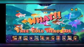 Dynasty Heroes ~ Our Gold Heroes are so 