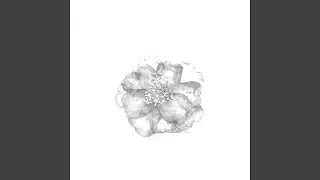 Winterflower