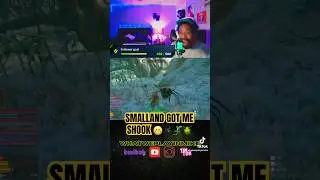 Smalland is too much fun 😅🕷️🦎🪲 #smalland #survivalgame #gaming