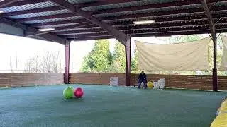 Tara Palaski and Maple Video 1 65 centimeter Intermediate Standard 2-22-25