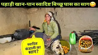 कंडाली और पालक का साग || पहाड़ी खान-पान स्वादिष्ट खाना😋 || Video by @yashpahadiofficial 