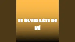 Te Olvidaste de Mí