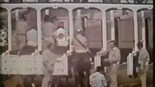 Secretariat Belmont Stakes 1973 & extended post race coverage