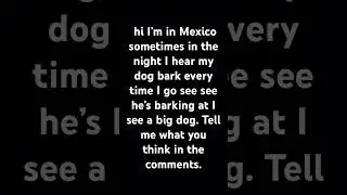 I have two more dogs we&rsquo;re not mine lol they&rsquo;re big like that one it was bigger tell me in the chat