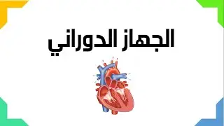 الجهاز الدوراني  - العلوم والحياة - الصف التاسع الأساسي 9️⃣ - المنهاج الفلسطيني