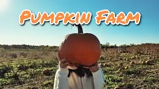 A Perfect Fall Day at Carl Laidlaw Orchards | Apple Picking & Farm Experience