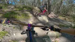Rooster Cam V3 | Hornsby OMV