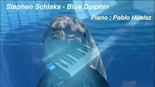 Stephen Schlaks  - Blue Dolphin. ( Piano Cover )