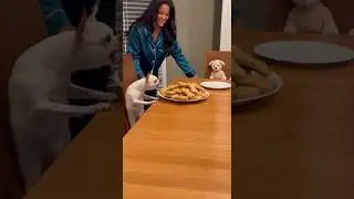 OUR DOG WANTED MORE BISCUITS&hellip;😂😂 Caught in the act begging again