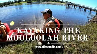 Kayaking The Mooloolah River with 