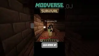 Q&A House Episode 1  #minecraft  #gaming #questions #Q&AHouse