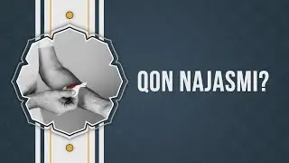 Qon najasmi?