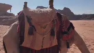 Jordanie 3