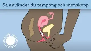 SÅ ANVÄNDER JAG TAMPONG OCH MENSKOPP